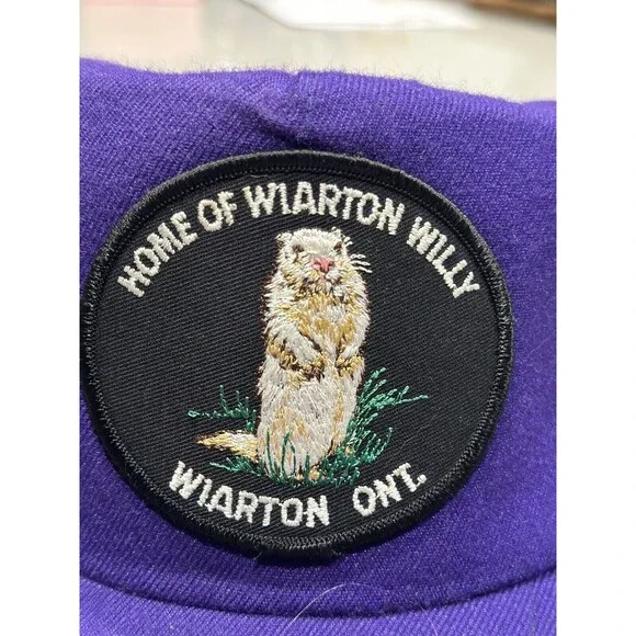 Vtg Wiarton Willie Canadian Groundhogs Day Purple Hat 90s